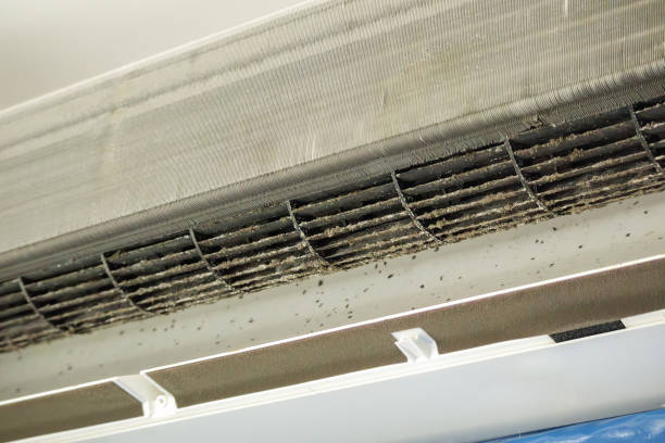 Best Dryer Vent Cleaning Services  in King City, OR